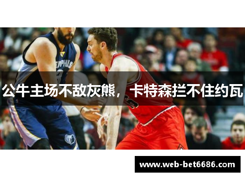 公牛主场不敌灰熊，卡特森拦不住约瓦